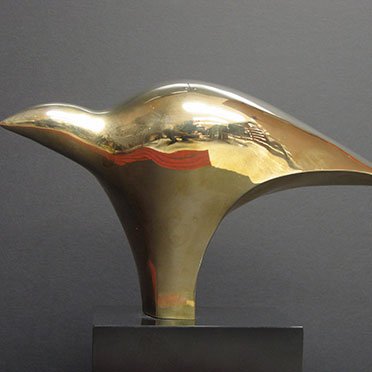 IRI Achievement Award