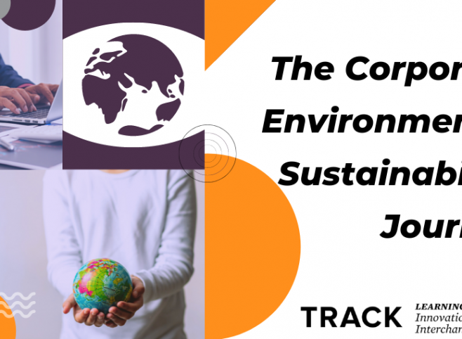 The Corporate Environmental Sustainability Journey